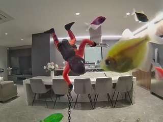 voyeurcam-casa-salsa-fishtank