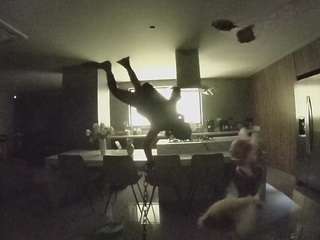 voyeurcam-casa-salsa-fishtank