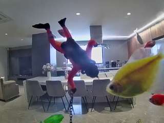 voyeurcam-casa-salsa-fishtank