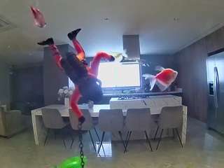voyeurcam-casa-salsa-fishtank