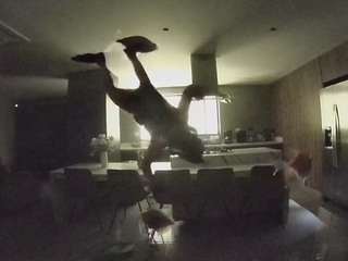 voyeurcam-casa-salsa-fishtank