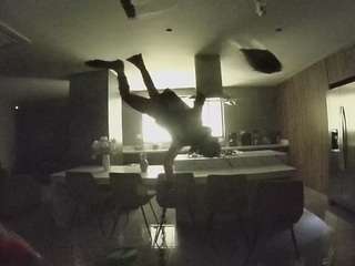  voyeurcam-casa-salsa-fishtank chat room