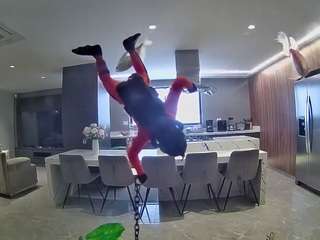 voyeurcam-casa-salsa-fishtank