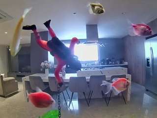 voyeurcam-casa-salsa-fishtank