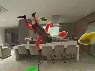 voyeurcam-casa-salsa-fishtank