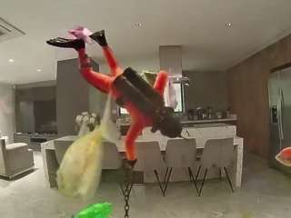 voyeurcam-casa-salsa-fishtank