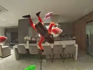 voyeurcam-casa-salsa-fishtank