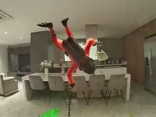 voyeurcam-casa-salsa-fishtank