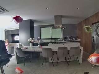 voyeurcam-casa-salsa-fishtank