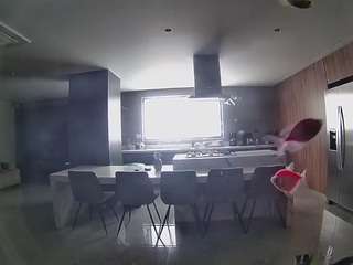 voyeurcam-casa-salsa-fishtank