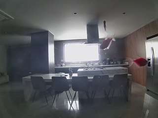 voyeurcam-casa-salsa-fishtank