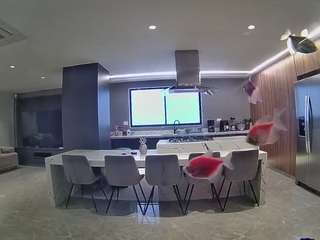 voyeurcam-casa-salsa-fishtank