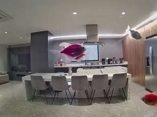 voyeurcam-casa-salsa-fishtank