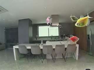 voyeurcam-casa-salsa-fishtank