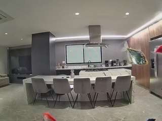 voyeurcam-casa-salsa-fishtank