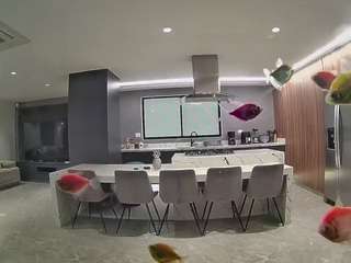 voyeurcam-casa-salsa-fishtank