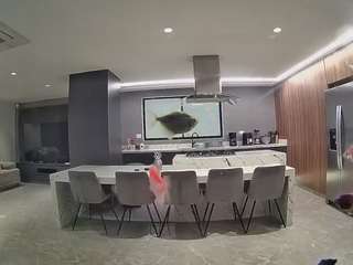 voyeurcam-casa-salsa-fishtank