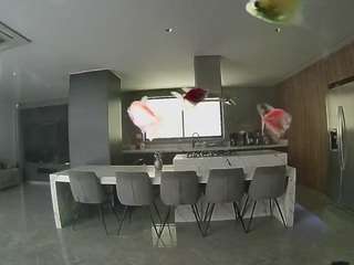 voyeurcam-casa-salsa-fishtank