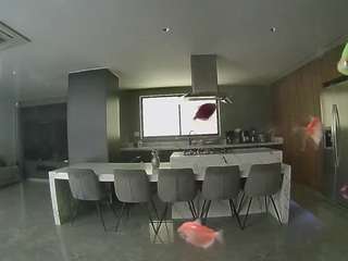 voyeurcam-casa-salsa-fishtank
