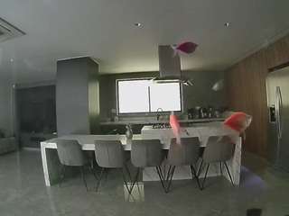 voyeurcam-casa-salsa-fishtank