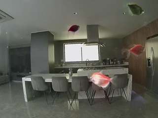 voyeurcam-casa-salsa-fishtank