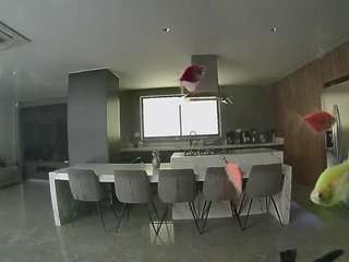 voyeurcam-casa-salsa-fishtank
