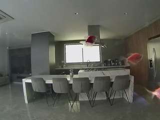 voyeurcam-casa-salsa-fishtank