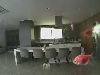 voyeurcam-casa-salsa-fishtank