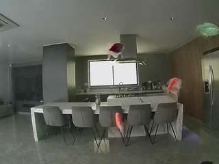 voyeurcam-casa-salsa-fishtank