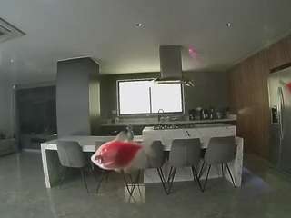 voyeurcam-casa-salsa-fishtank