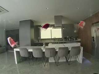 voyeurcam-casa-salsa-fishtank