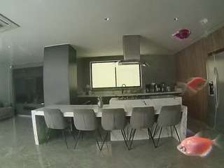 voyeurcam-casa-salsa-fishtank