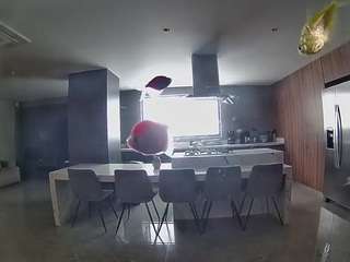 voyeurcam-casa-salsa-fishtank