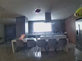 voyeurcam-casa-salsa-fishtank