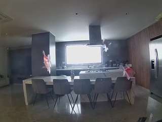 voyeurcam-casa-salsa-fishtank