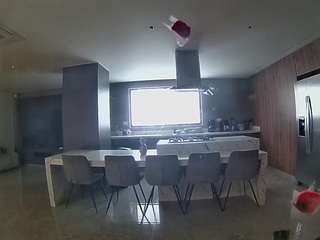 voyeurcam-casa-salsa-fishtank