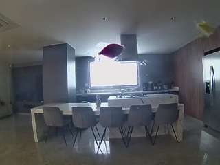 voyeurcam-casa-salsa-fishtank