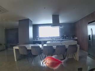 voyeurcam-casa-salsa-fishtank