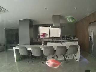 voyeurcam-casa-salsa-fishtank