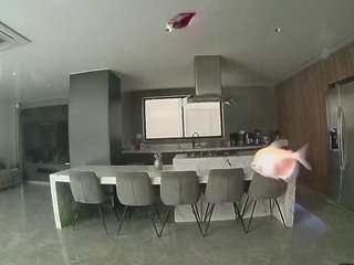 voyeurcam-casa-salsa-fishtank