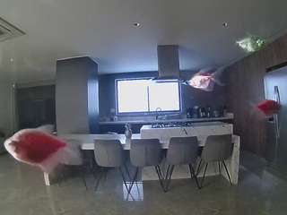 voyeurcam-casa-salsa-fishtank