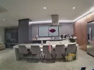 voyeurcam-casa-salsa-fishtank