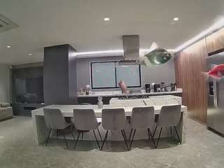 voyeurcam-casa-salsa-fishtank