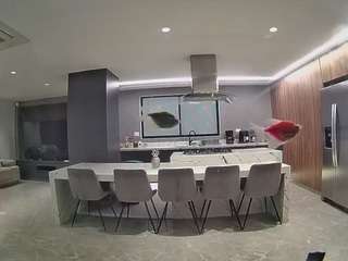 voyeurcam-casa-salsa-fishtank