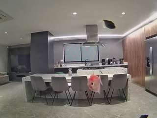 voyeurcam-casa-salsa-fishtank