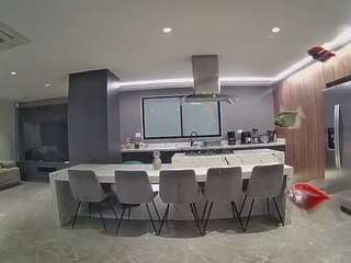 voyeurcam-casa-salsa-fishtank