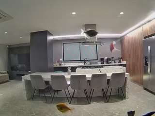 voyeurcam-casa-salsa-fishtank