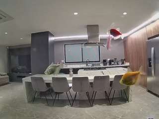 voyeurcam-casa-salsa-fishtank