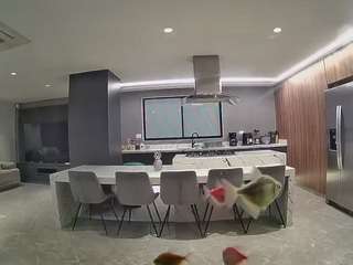 voyeurcam-casa-salsa-fishtank