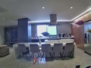 voyeurcam-casa-salsa-fishtank
